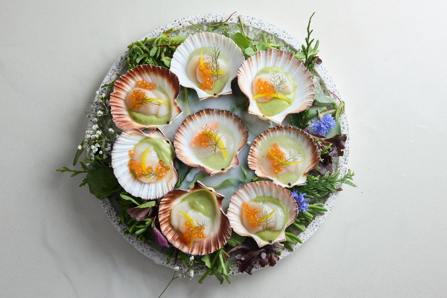 Grilled Scallop in the Shell