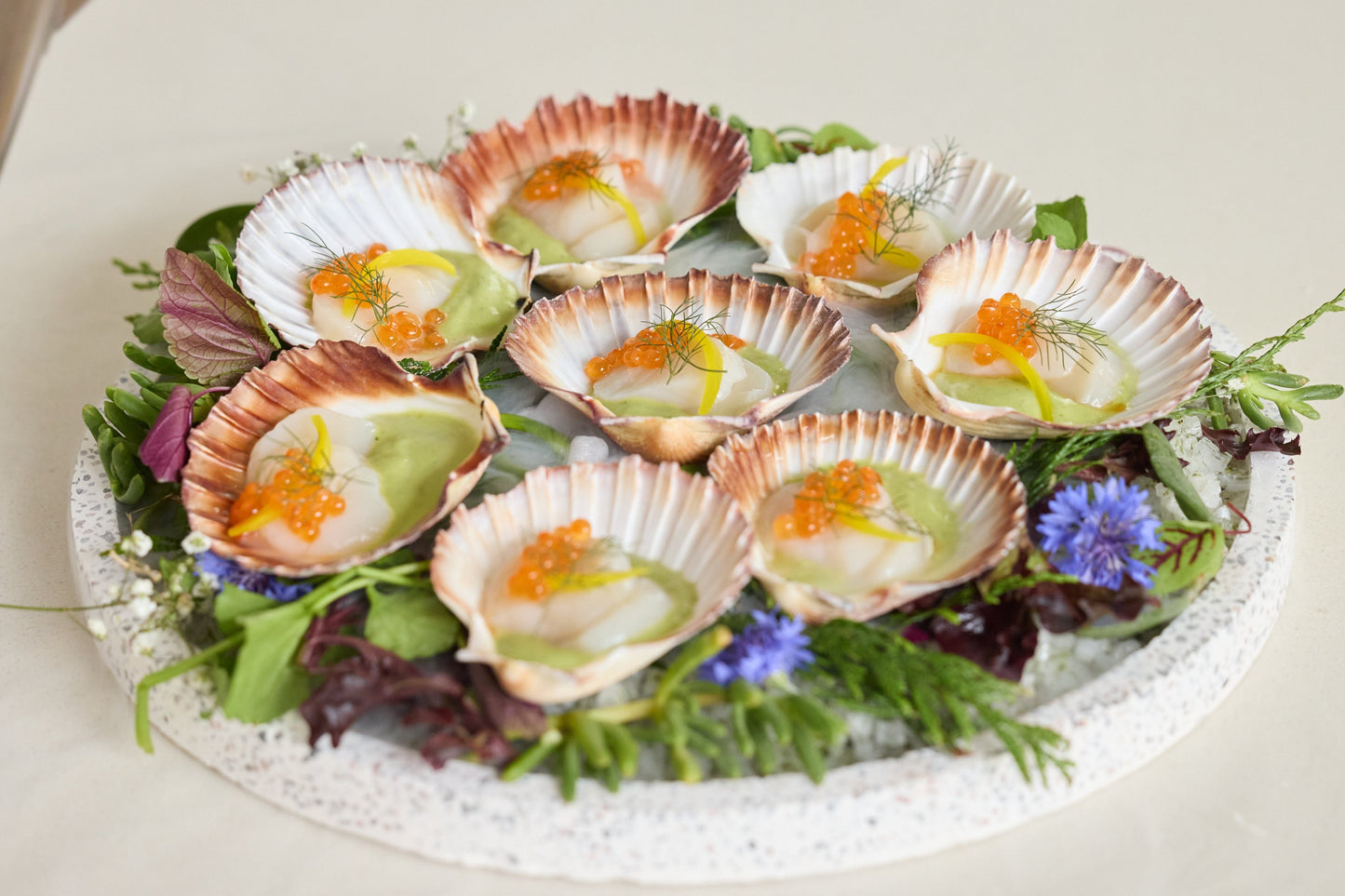 Grilled Scallop in the Shell